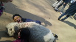 2012040515010000.jpg