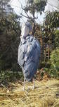 2012040515140000.jpg